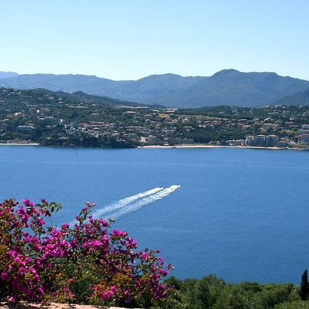 Villa Vetricella Corse Sud Olmeto  Eksteriør bilde