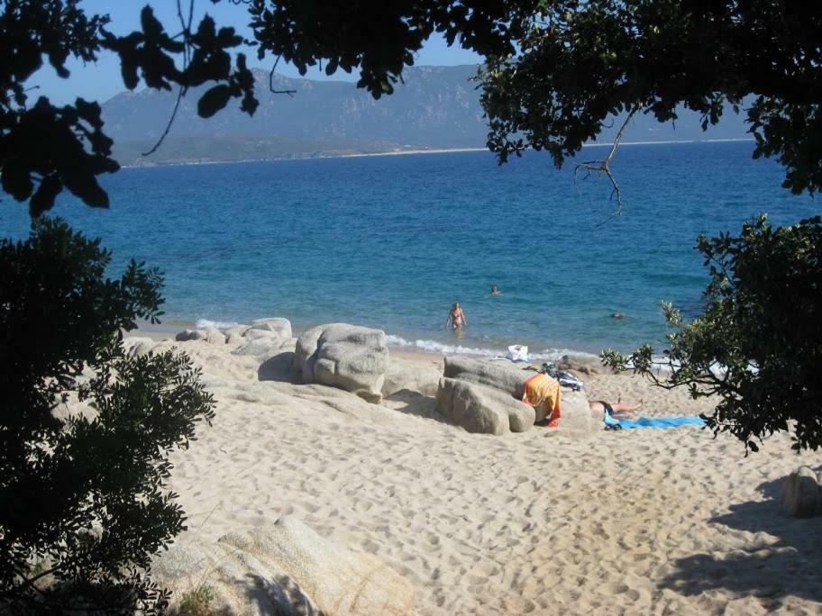 Villa Vetricella Corse Sud Olmeto  Eksteriør bilde