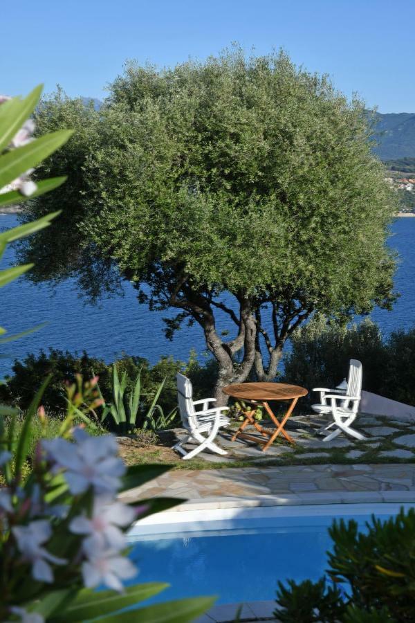 Villa Vetricella Corse Sud Olmeto  Eksteriør bilde