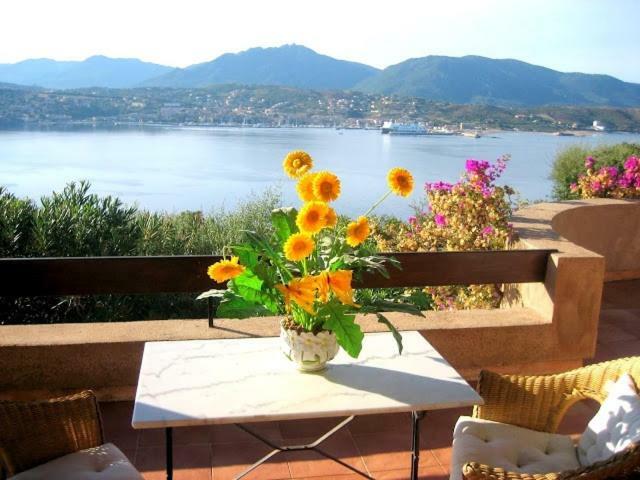 Villa Vetricella Corse Sud Olmeto  Eksteriør bilde