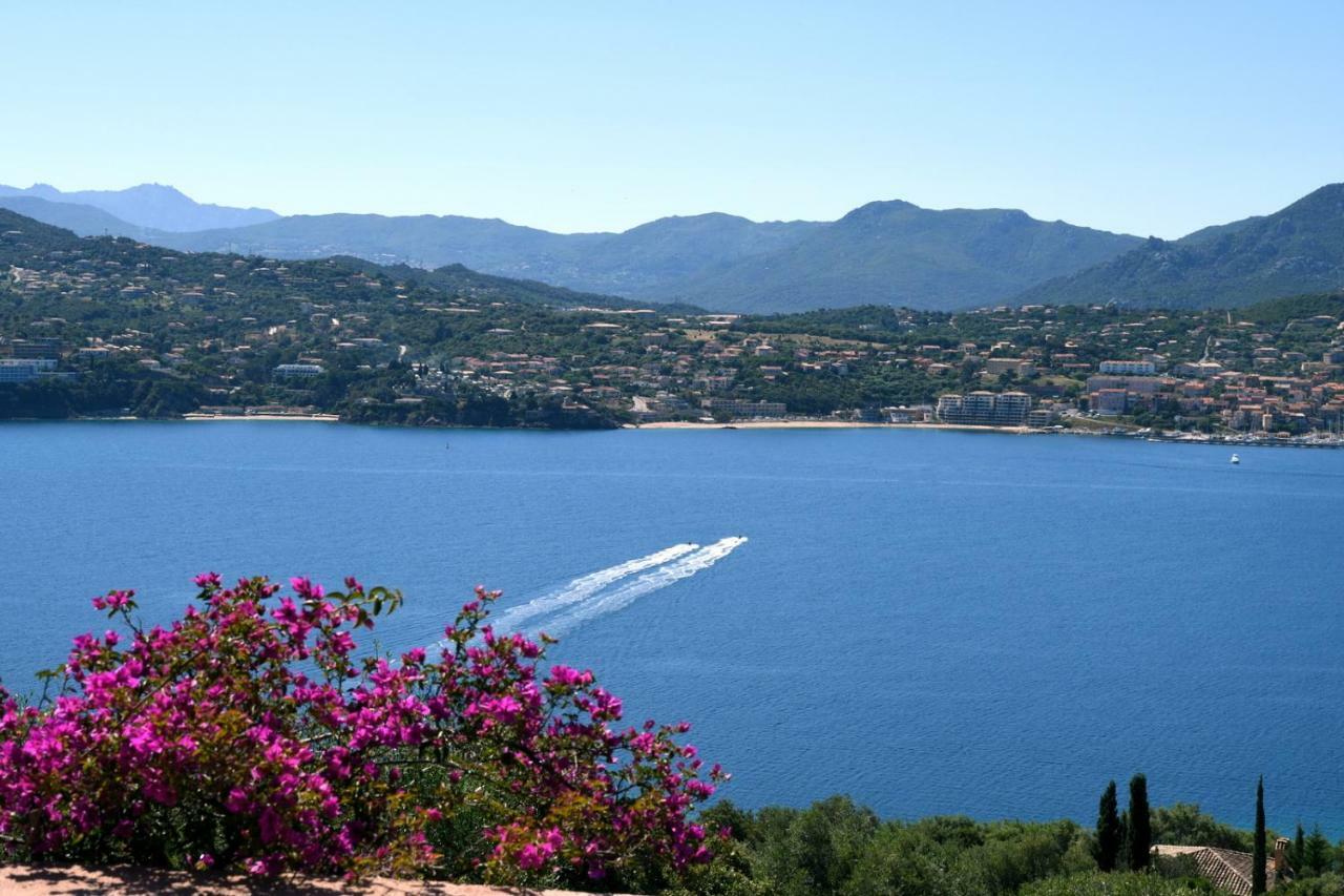 Villa Vetricella Corse Sud Olmeto  Eksteriør bilde
