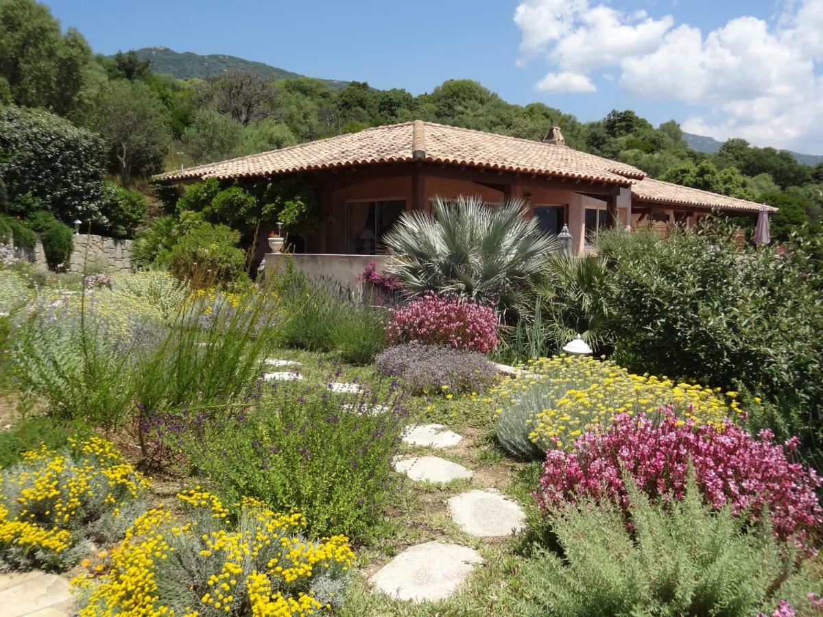 Villa Vetricella Corse Sud Olmeto  Eksteriør bilde