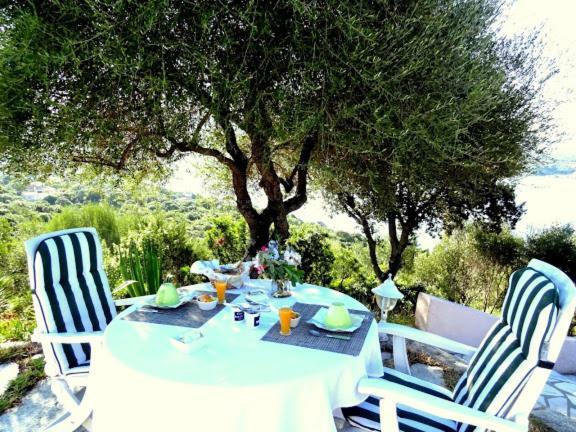 Villa Vetricella Corse Sud Olmeto  Eksteriør bilde