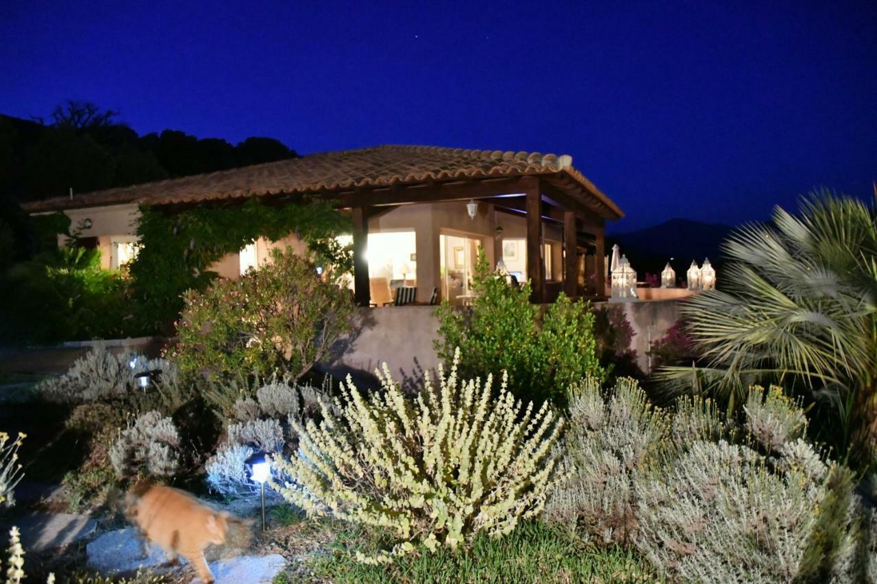 Villa Vetricella Corse Sud Olmeto  Eksteriør bilde